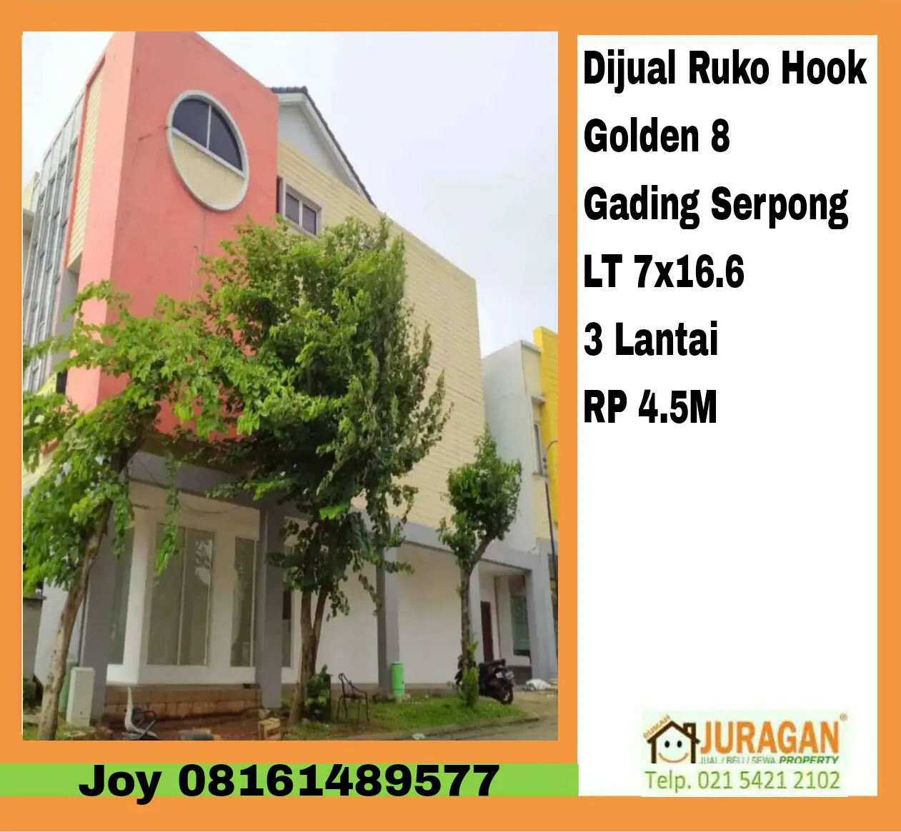 RUKO GOLDEN 8 HOOK.jpg