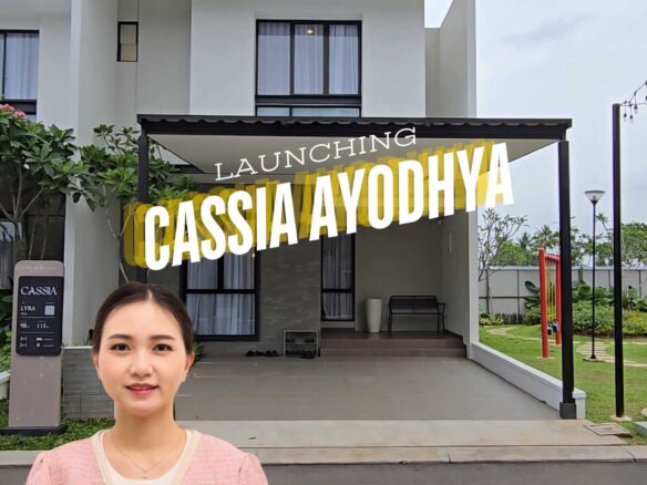 Cluster Cassia Ayodhya