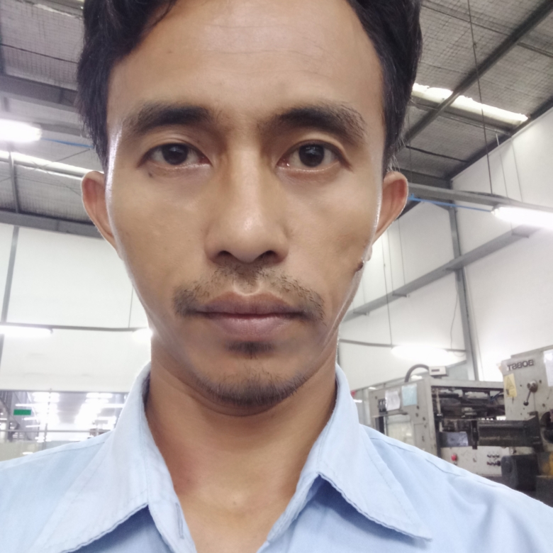Vicky Zulfikar