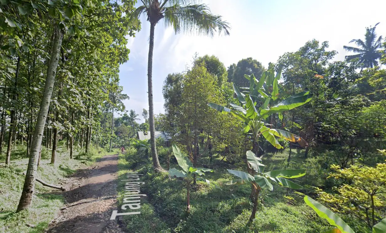 DIJUAL TANAH KEBUN DI MULYAJAYA WADO SUMEDANG