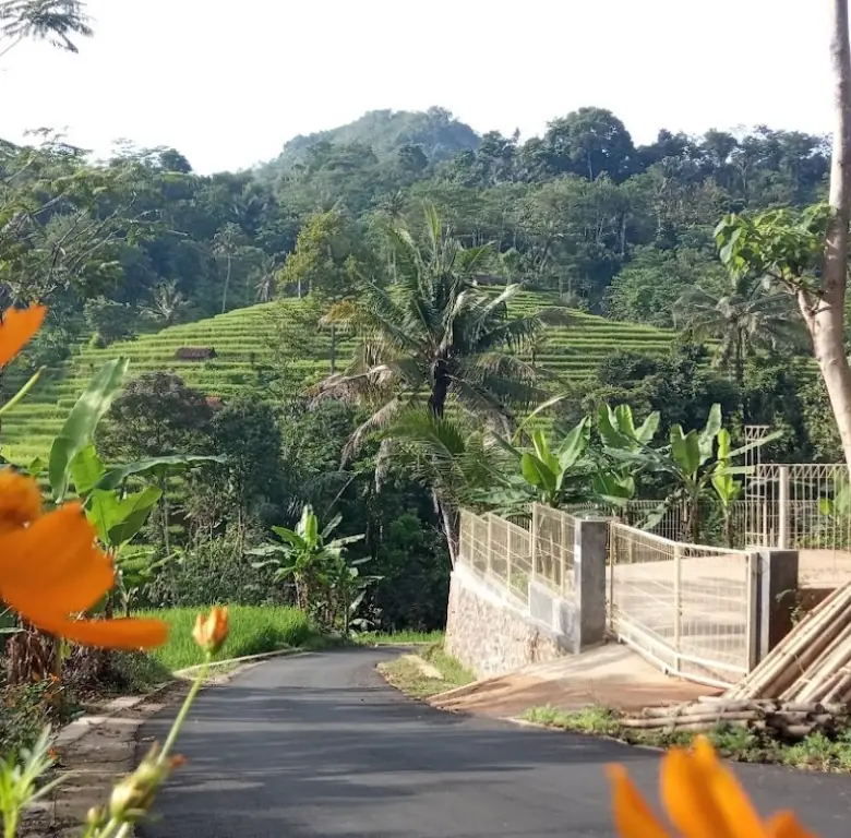 DIJUAL TANAH KEBUN DI MULYAJAYA WADO SUMEDANG