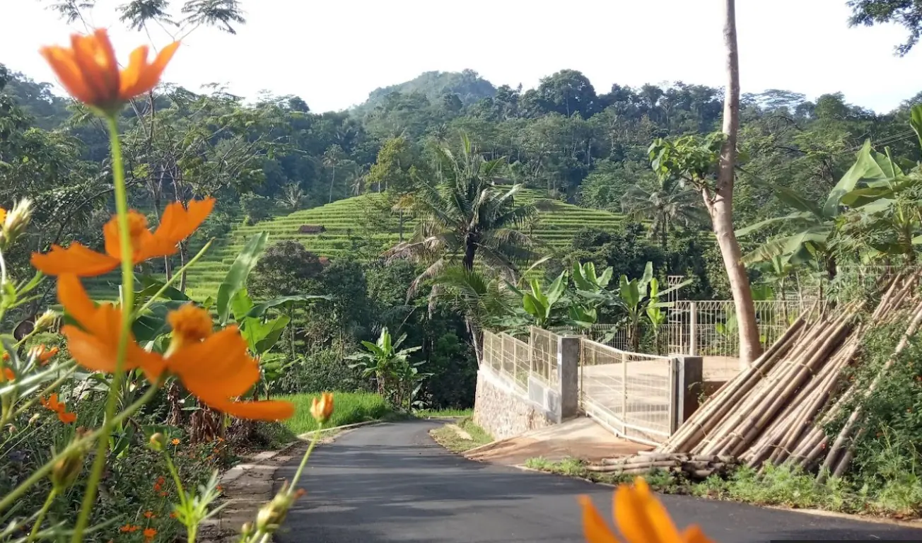 DIJUAL TANAH KEBUN DI MULYAJAYA WADO SUMEDANG
