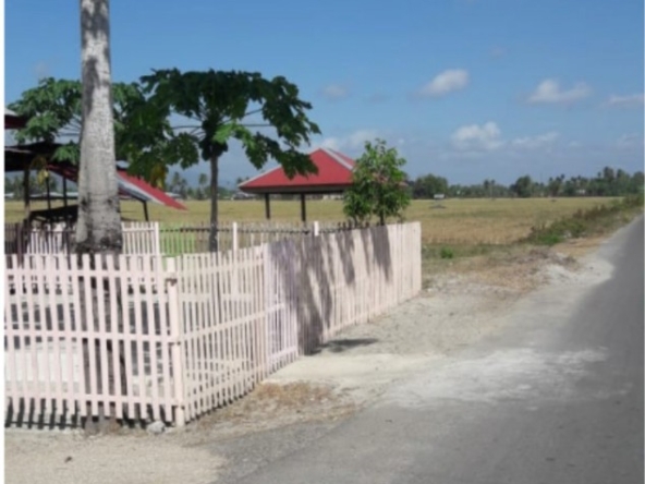 Tanah Lokasi Strategis Di Gorontalo Sulawesi