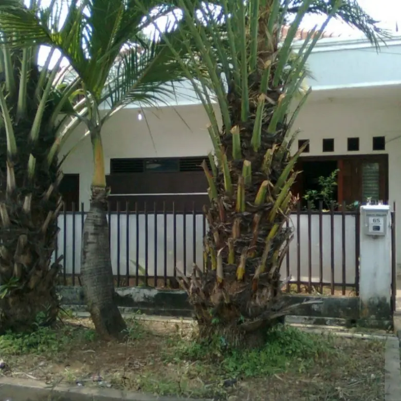DIJUAL Dihitung Tanah Saja Rumah Di Cempaka Putih Jakarta Pusat 1