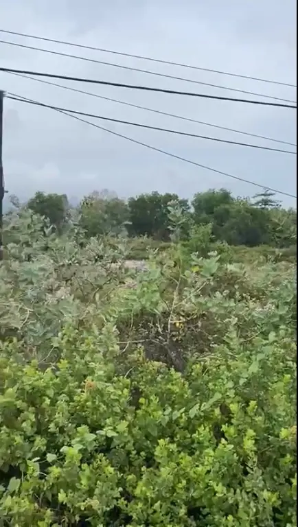 Kavling Jalan Nasional 1 Kab Rembang Jawa Tengah 2