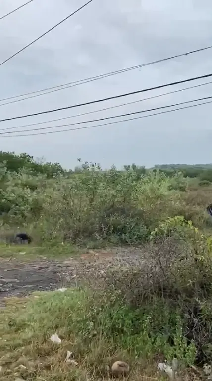 Kavling Jalan Nasional 1 Kab Rembang Jawa Tengah 3
