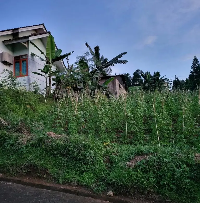 Kavling Di Villa Cherry 2 Cipanas Jawa Barat 4