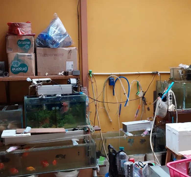 Rumah Dijual 2 Lantai di Metro Permata 1 Gudang