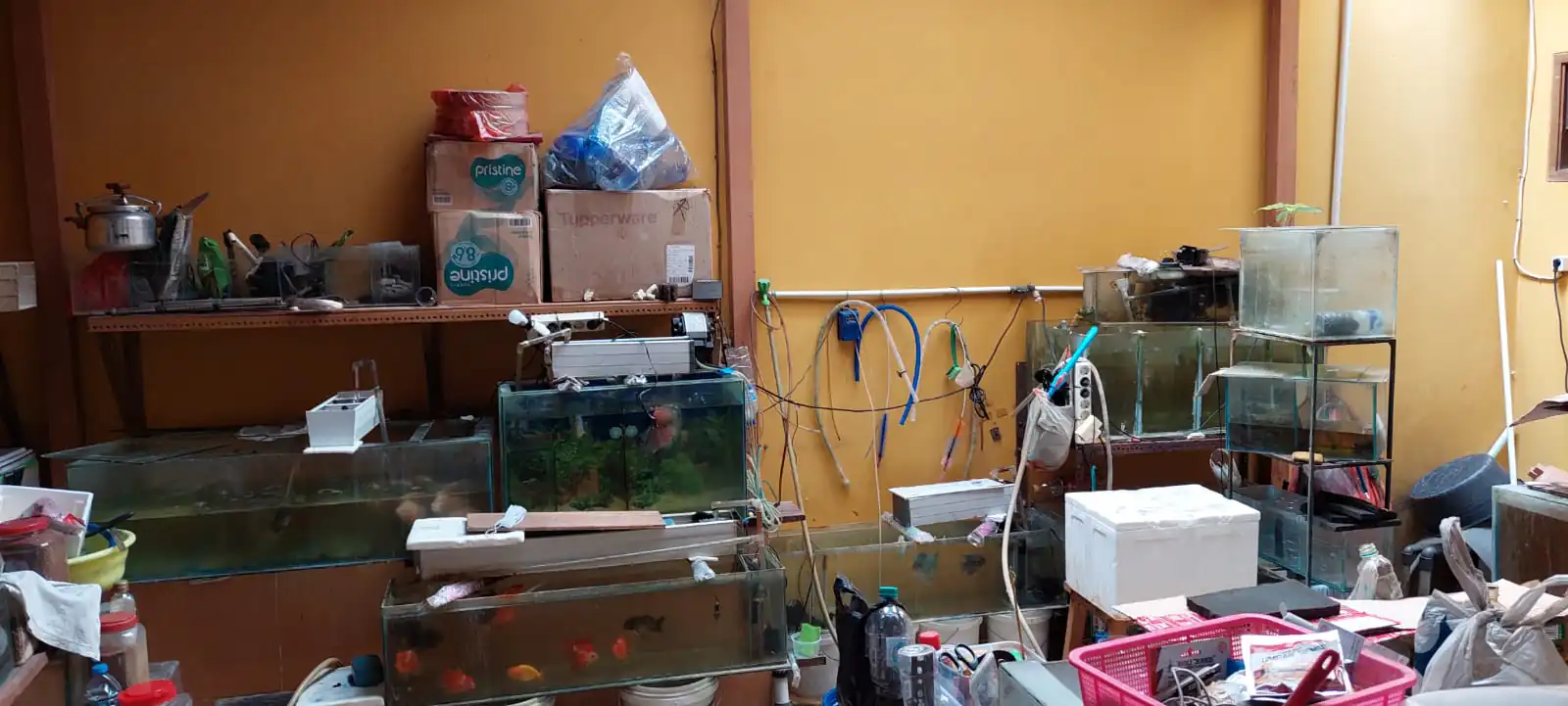 Rumah Dijual 2 Lantai di Metro Permata 1 Gudang