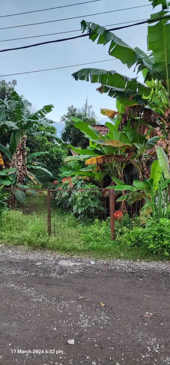 Dijual Cepat Kavling di Sadangan Lumpang Parung Panjang