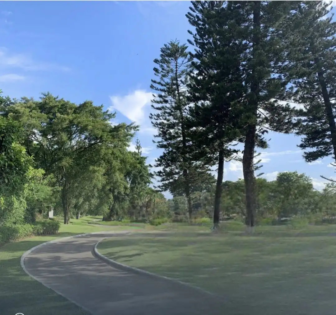 KAV PH GOLF.jpg