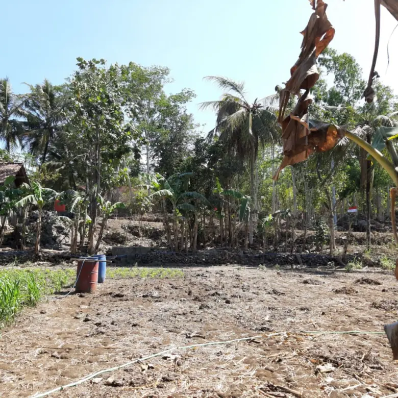 Dijual Tanah View Laut Parangtritis Yogyakarta 3