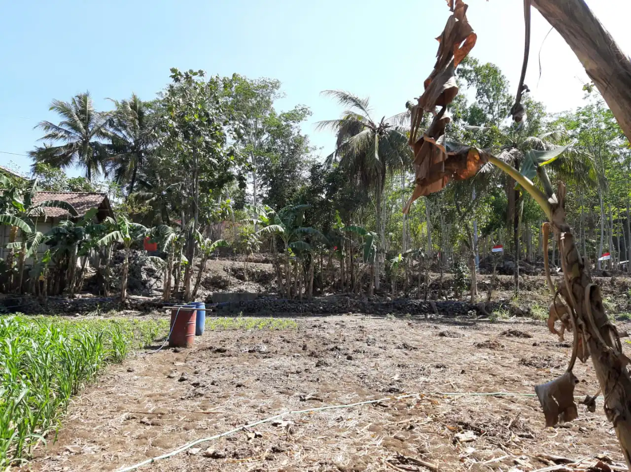 Dijual Tanah View Laut Parangtritis Yogyakarta 3