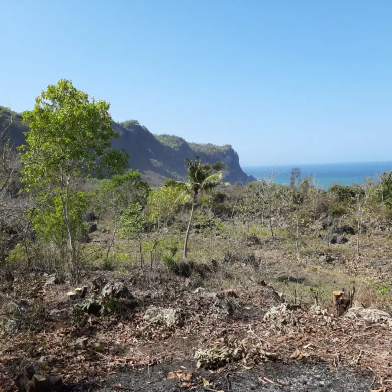 Dijual Tanah View Laut Parangtritis Yogyakarta 2