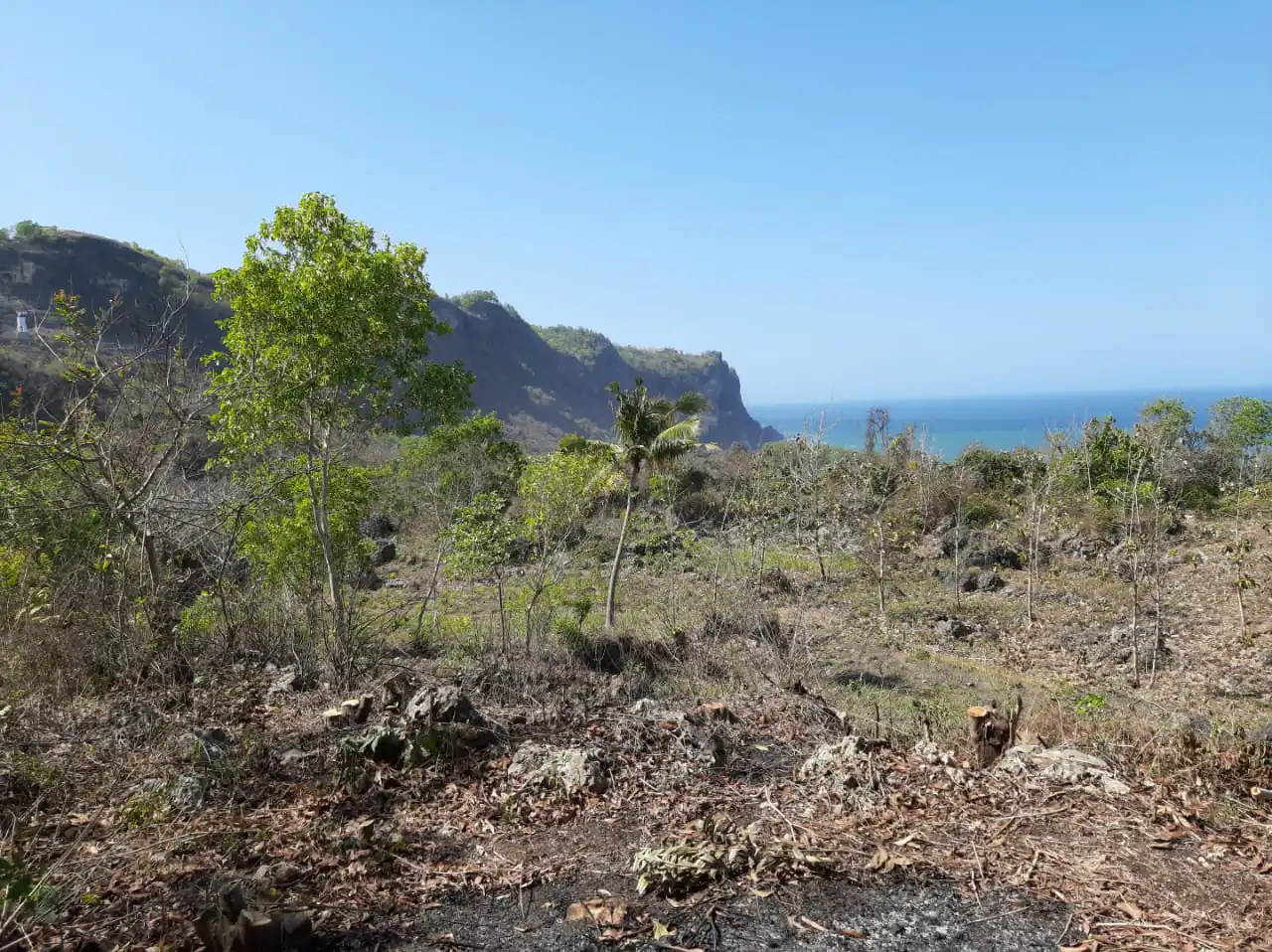 Dijual Tanah View Laut Parangtritis Yogyakarta 2
