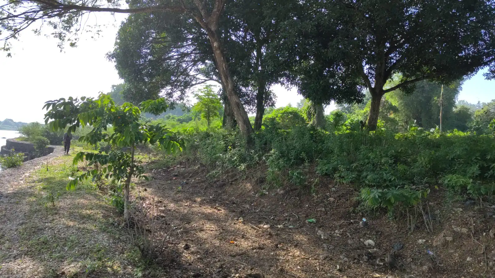 Tanah Lokasi Tengah Kota Jambi Di Danau Sipin