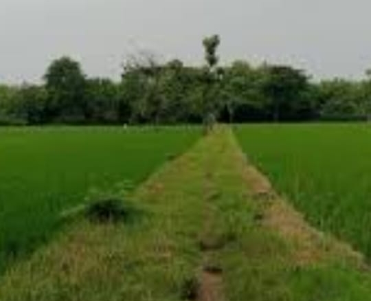 Dijual murah lahan untuk perumahan di pasar kemis Tangerang banten