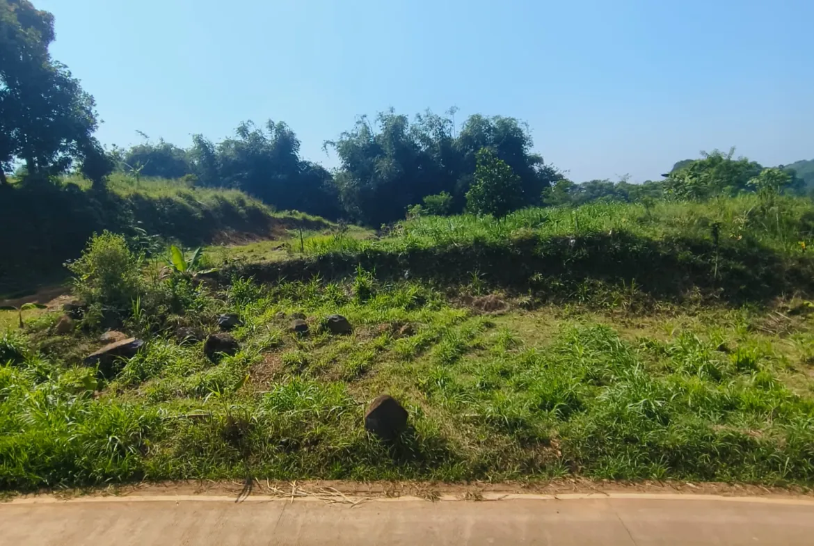 Jual kavling di jalan raya puncak 2