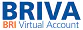 logo-briva